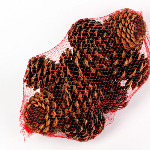 Scented Pinecones-Small